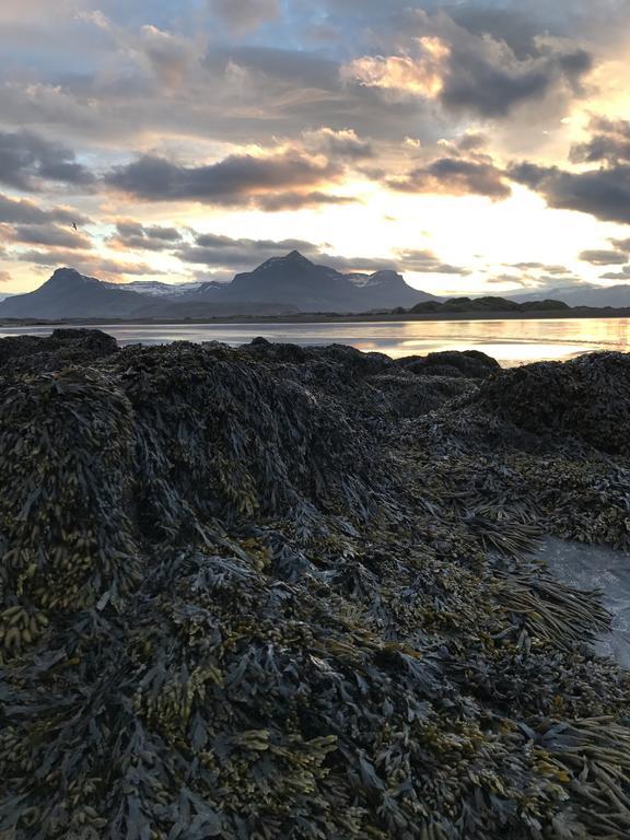 Framtid Camping Lodging Barrels Djúpivogur Exterior foto